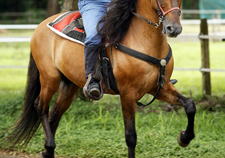 Costa Rica-Guanacaste-Ranches, Volcanoes & Beaches in Guanacaste